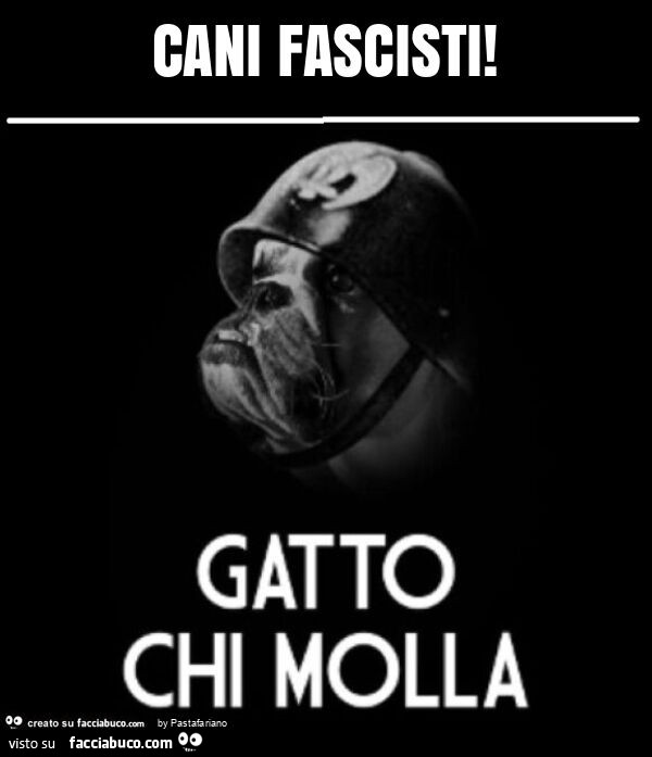 Cani fascisti! Gatto chi molla