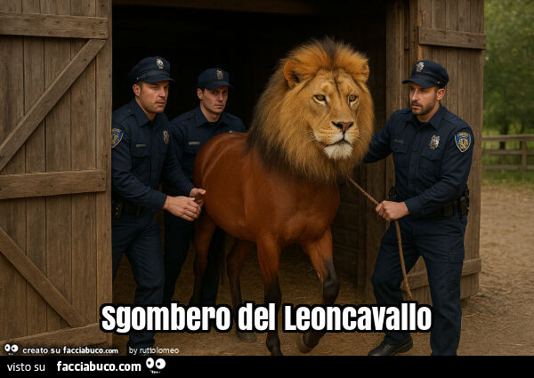 Sgombero del leoncavallo
