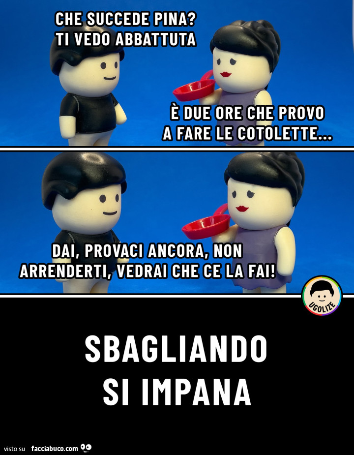 Vaccata