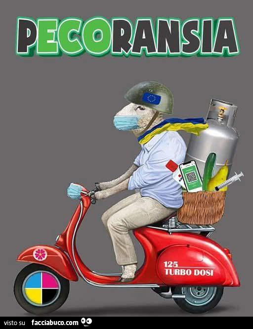 Vaccata
