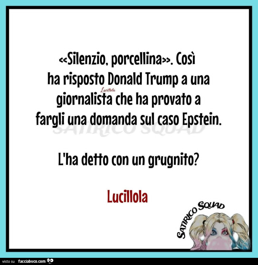Silenzio, porcellina. Così ha risposto donald trump a una giornalista che ha provato a fargli una domanda sul caso epstein. L'ha detto con un grugnito?