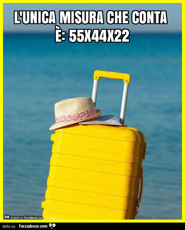 L'unica misura che conta è: 55x44x22