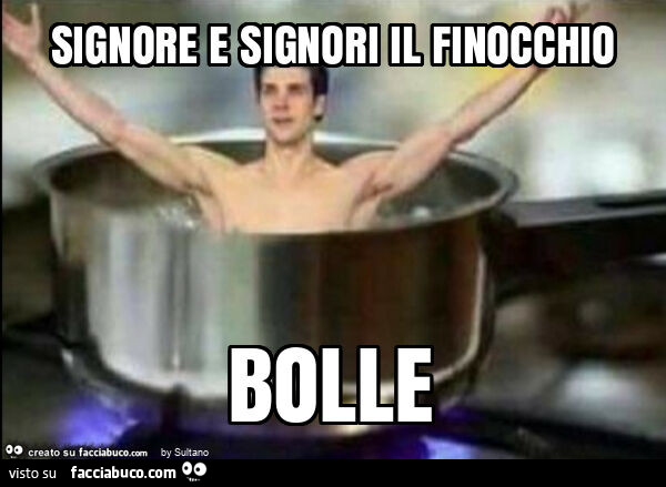 Signore e signori il finocchio bolle