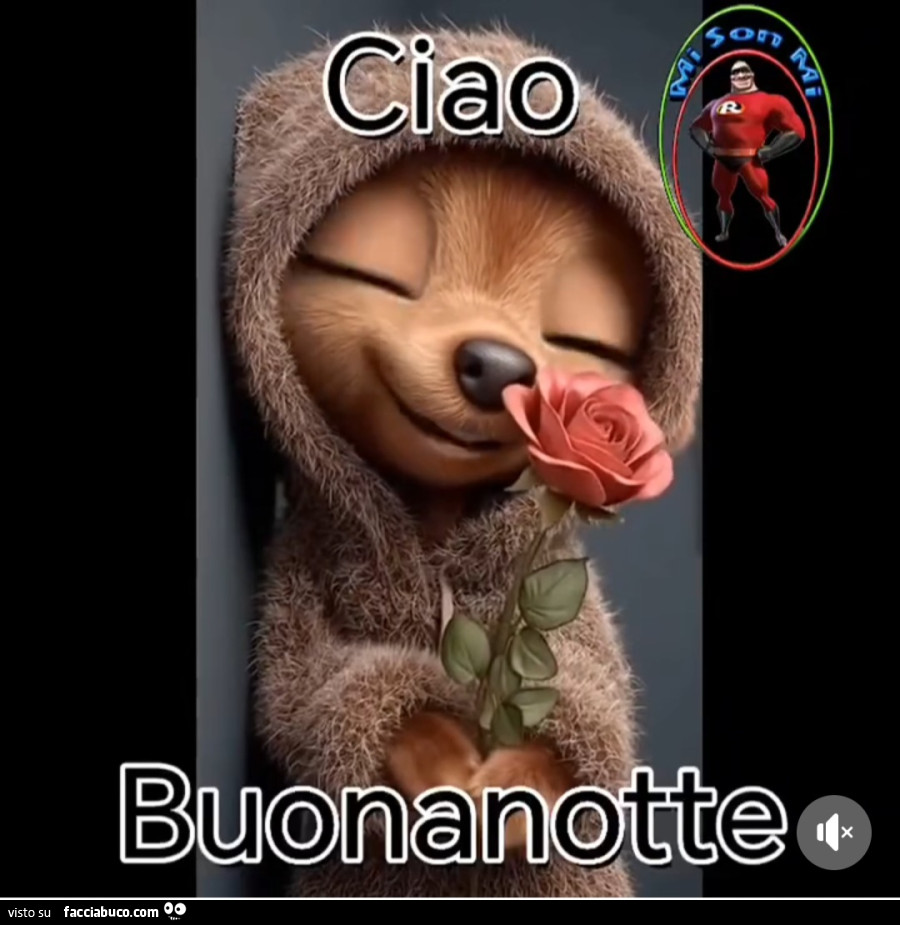 'Notte
