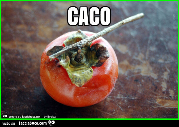 Caco