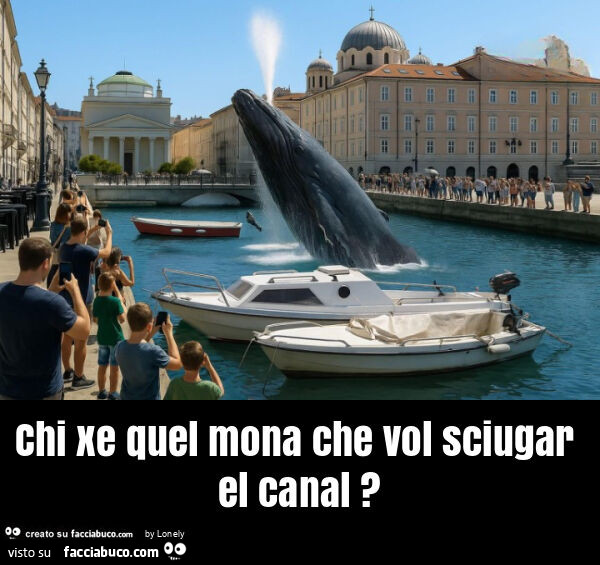 Chi xe quel mona che vol sciugar el canal?