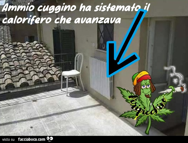Vaccata