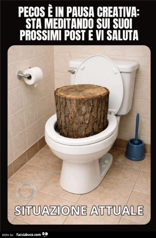 Pecos è in pausa creativa sta meditando sui suoi prossimi post e vi saluta situazione attuale tronchetto nel water