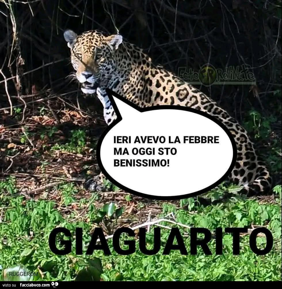Ieri avevo la febbre ma oggi sto bene