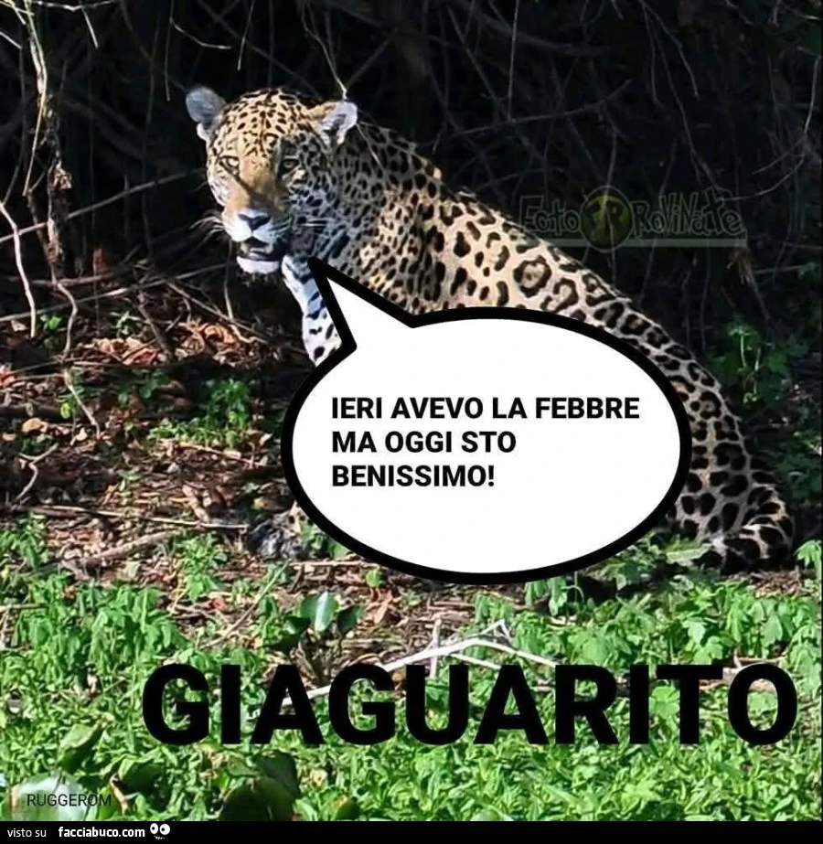 Ieri avevo la febbre ma oggi sto bene
