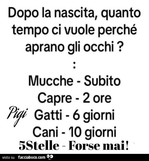 Dopo la nascita, quanto tempo ci vuole perché aprano gli occhi? Mucche subito, capre 2 ore, gatti 6 giorni, cani 10 giorni, 5stelle forse mai