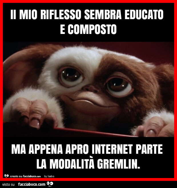 Ii mio riflesso sembra educato e composto ma appena apro internet parte la modalità gremlin