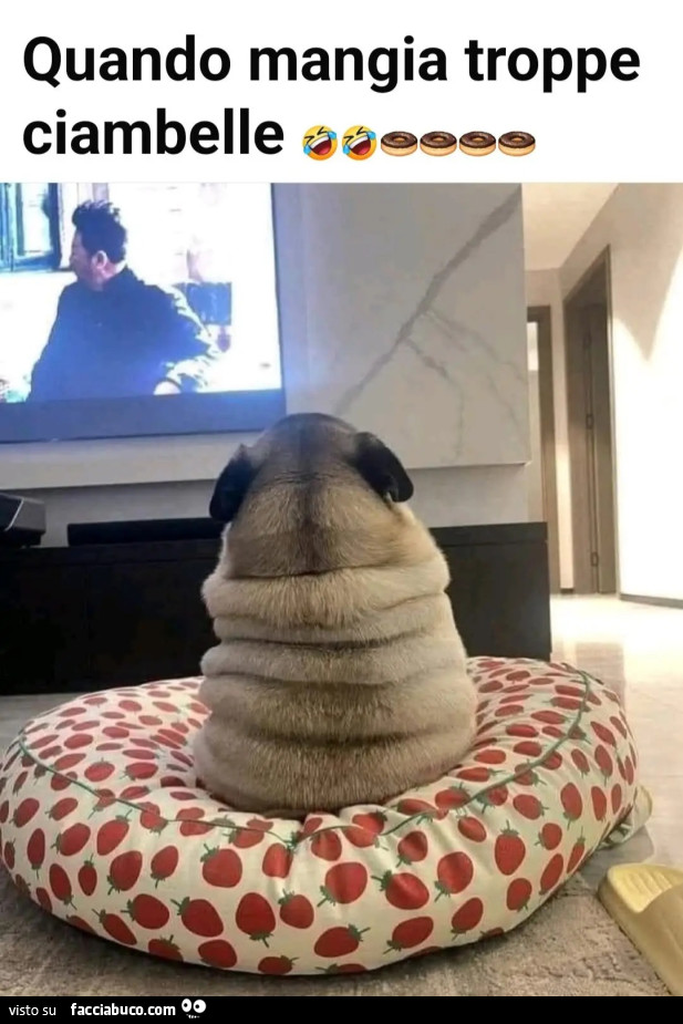 Cane Michelin
