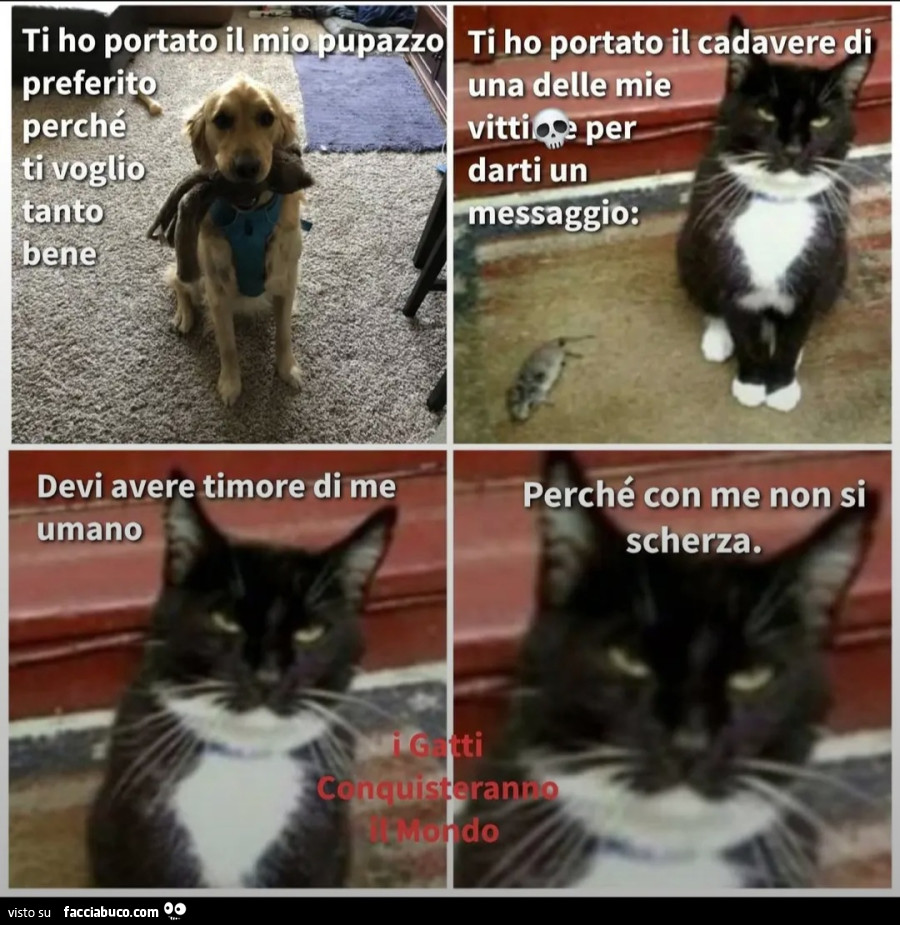 Ti ho portato il mio pupazzo preferito perché ti voglio tanto bene ti ho portato il cadavere di una delle mie vittime per darti un messaggio devi avere timore di me umano perché con me non si scherza