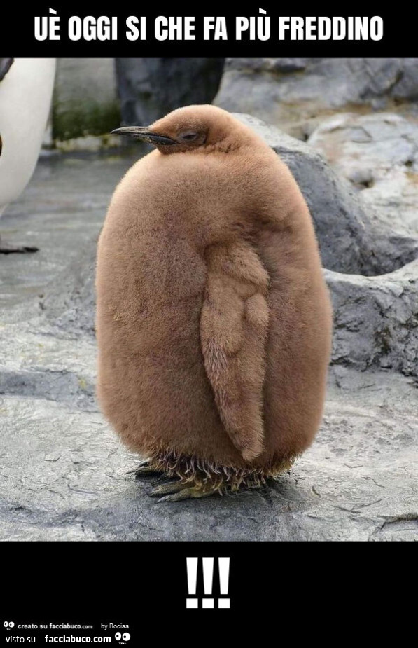 Uè oggi si che fa più freddino