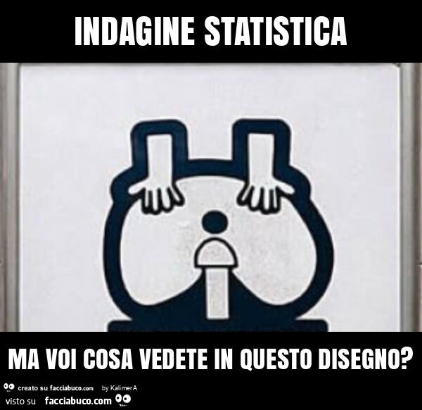 Indagine statistica ma voi cosa vedete in questo disegno?