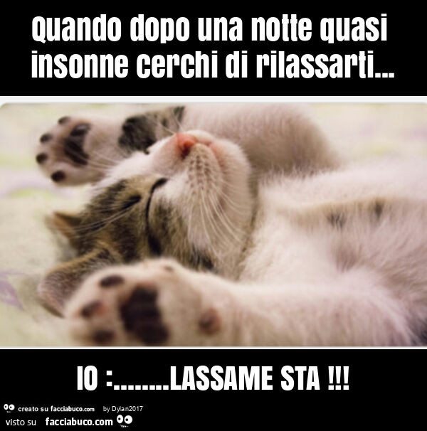 Quando dopo una notte quasi insonne cerchi di rilassarti… io: … lassame sta