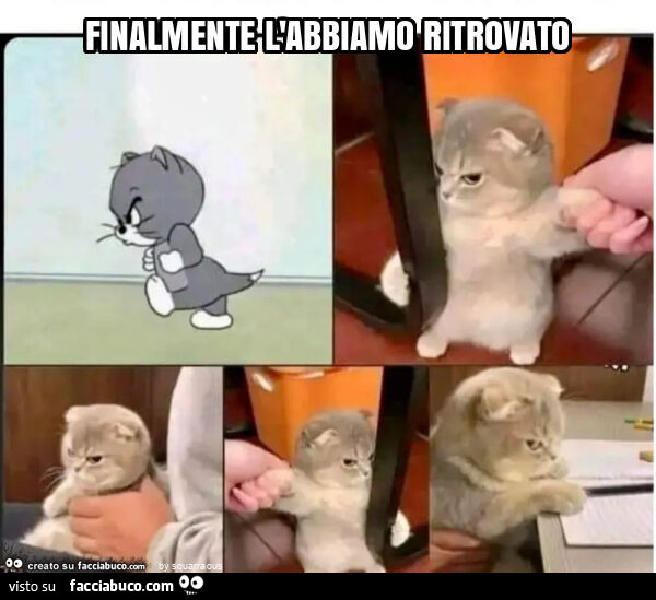 Finalmente l'abbiamo ritrovato