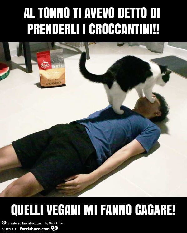 Al tonno ti avevo detto di prenderli i croccantini! Quelli vegani mi fanno cagare