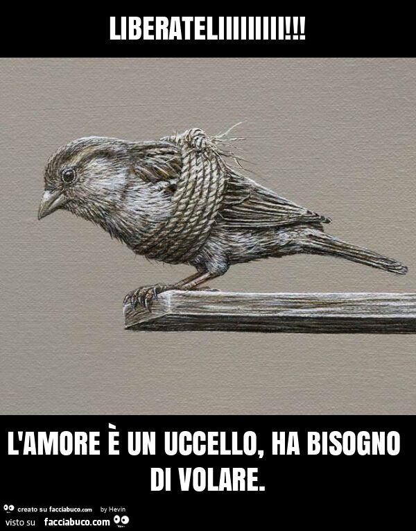 Liberateliiiiiiiii! L'amore è un uccello, ha bisogno di volare
