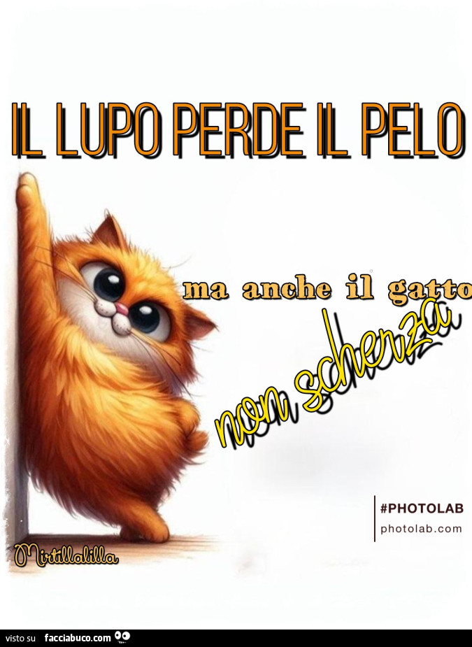 Il lupo perde il pelo