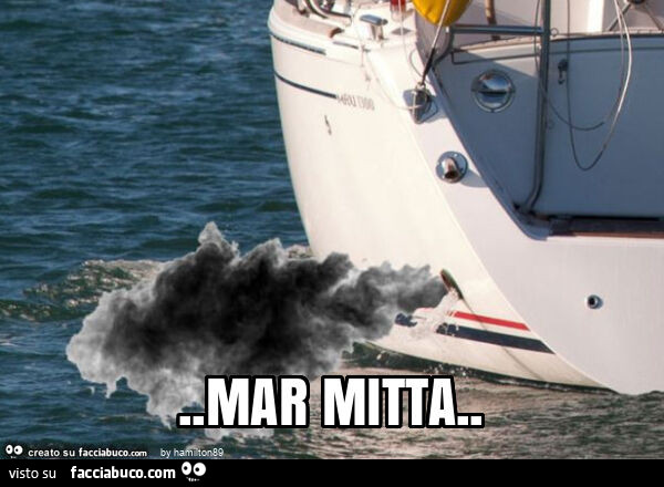 Mar mitta