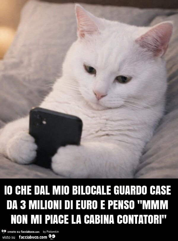 Io che dal mio bilocale guardo case da 3 milioni di euro e penso "mmm non mi piace la cabina contatori"