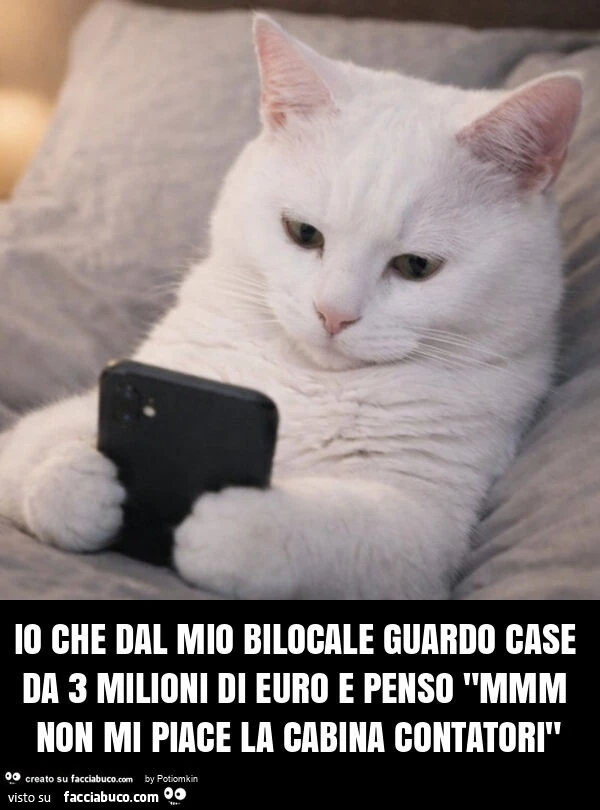 Io che dal mio bilocale guardo case da 3 milioni di euro e penso "mmm non mi piace la cabina contatori"