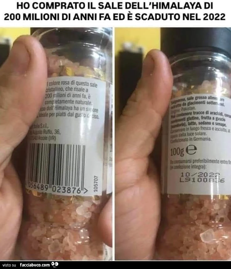 Vaccata