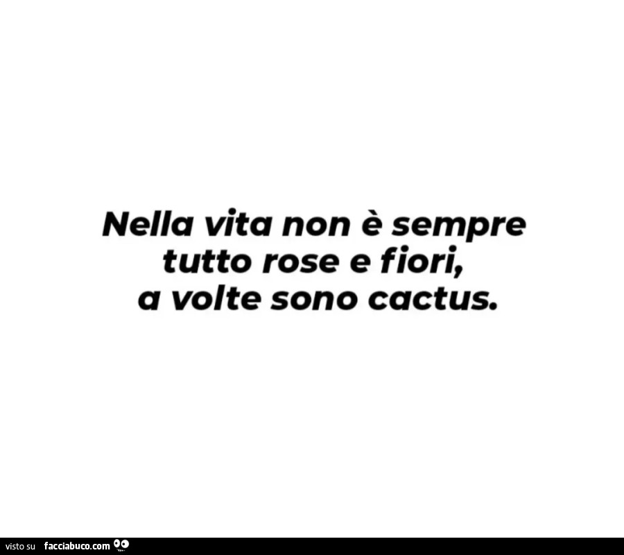 Nella vita non è sempre tutto rose e fiori, a volte sono cactus