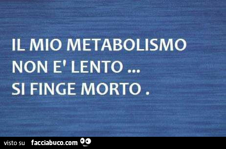 Metabolismo