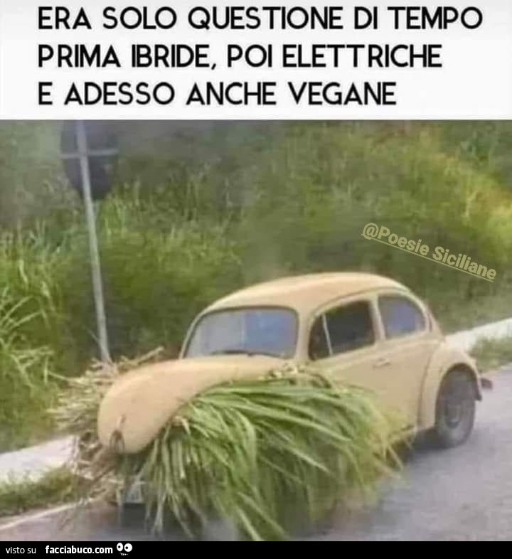 Vaccata