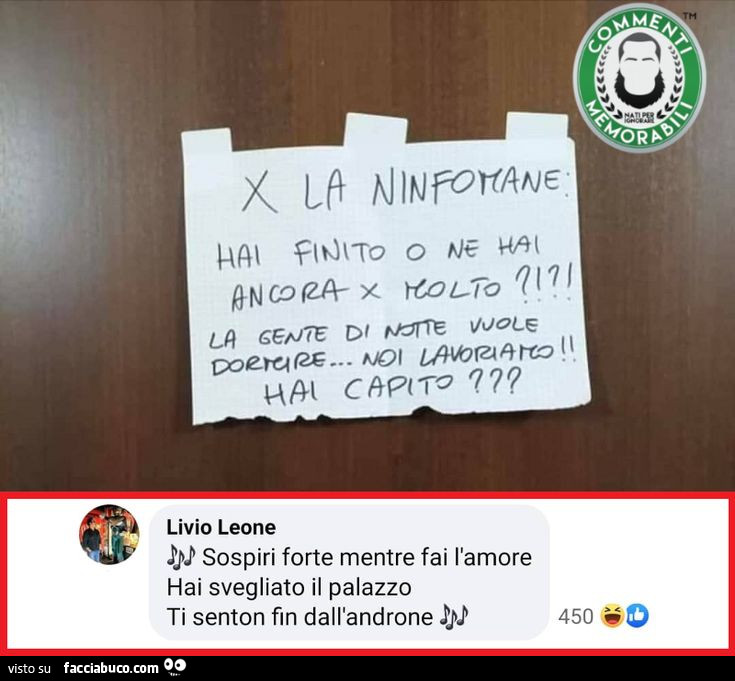 Ninfomane