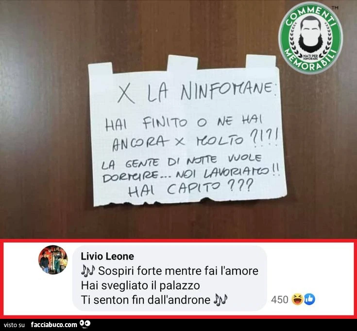 Ninfomane