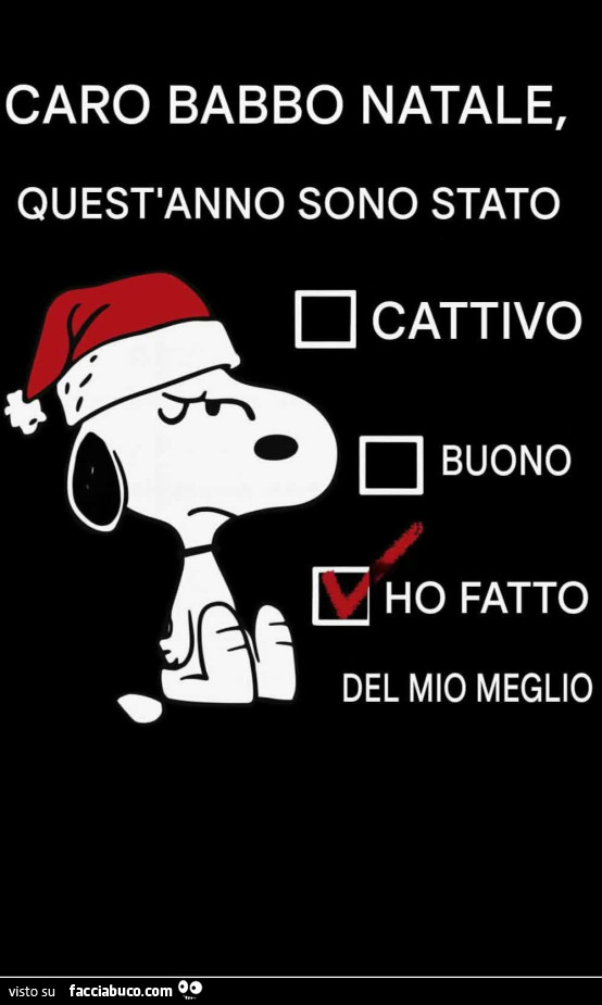 Caro babbo natale, quest'anno sono stato: ho fatto del mio meglio