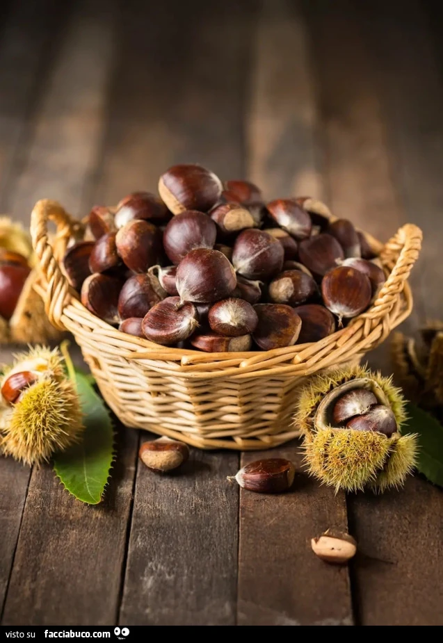 Castagne