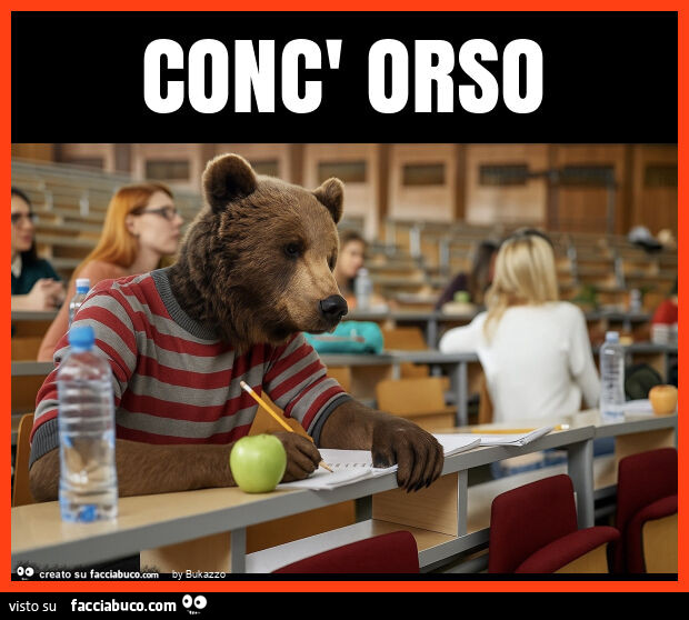 Conc' orso