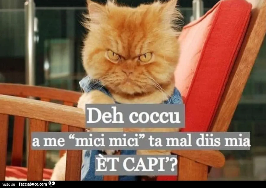 Coccu