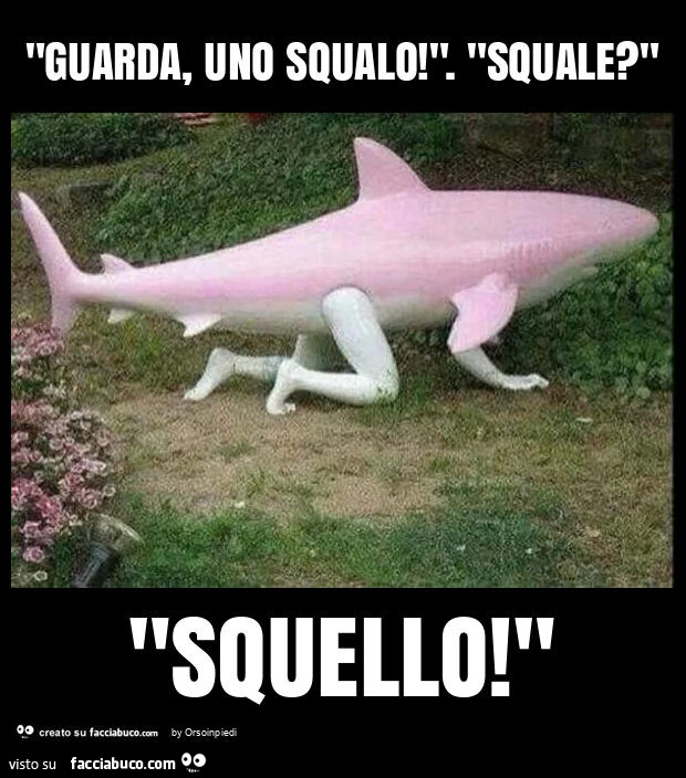 "guarda, uno squalo! ". "Squale? " "Squello! "