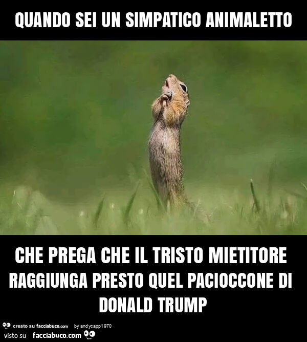 Quando sei un simpatico animaletto che prega che il tristo mietitore raggiunga presto quel pacioccone di donald trump