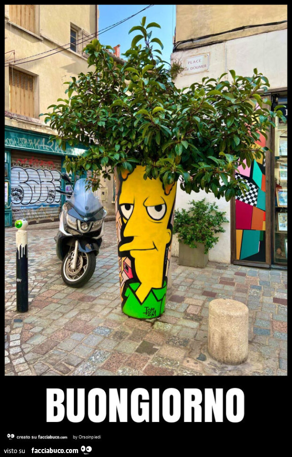 Buongiorno