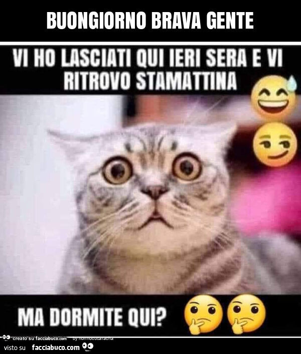 Buongiorno brava gente
