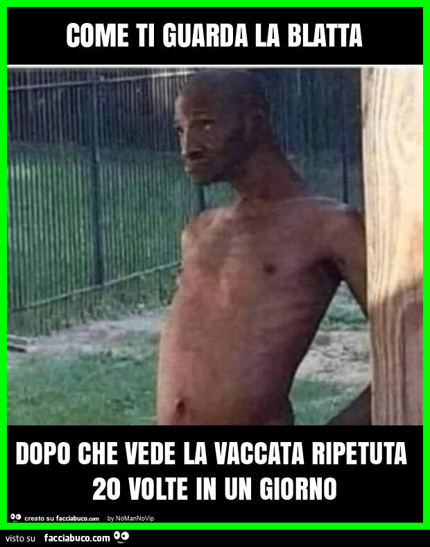 Come ti guarda la blatta dopo che vede la vaccata ripetuta 20 volte in un giorno