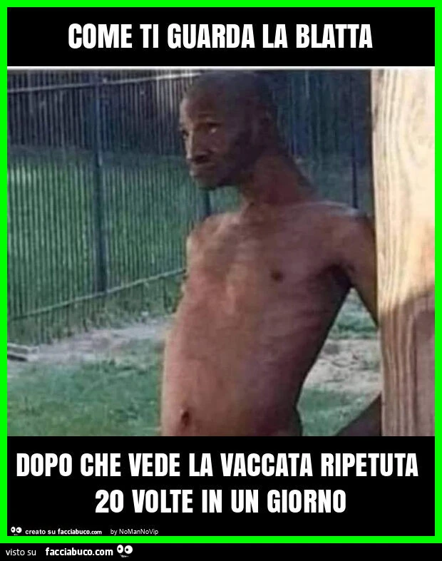 Come ti guarda la blatta dopo che vede la vaccata ripetuta 20 volte in un giorno