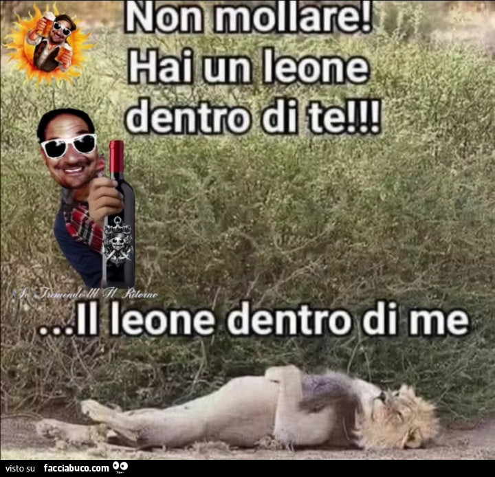 Vaccata