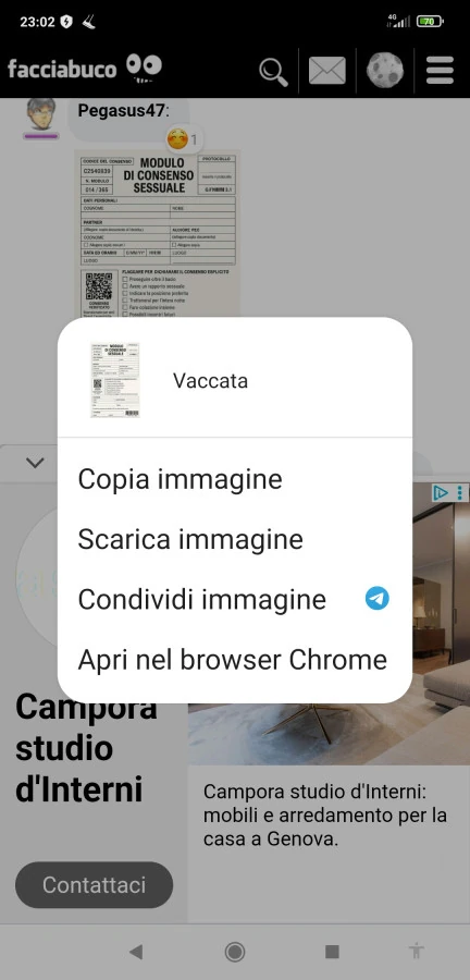 Vaccata
