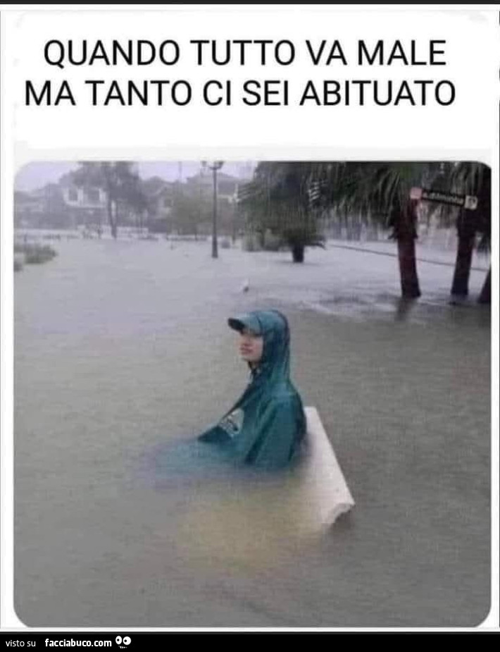 Ci sei abituato