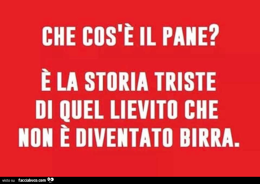 Che cos'è il pane? È La storia triste di quel lievito che non è diventato birra