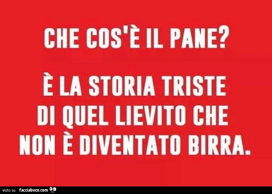 Che cos'รจ il pane? ร La storia triste di quel lievito che non รจ diventato birra
