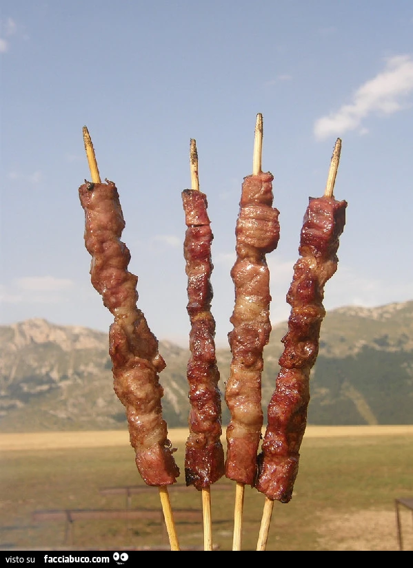 Vaccata